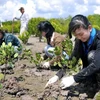Tree planting festival on lunar New Year occasion launched