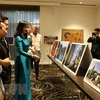 Vietnam’s lacquer paintings and photos introduced in Australia 