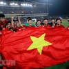 Malaysian media comment on Vietnam’s football victory