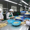 Processors gain right to label “Binh Phuoc” cashew products