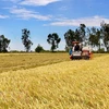 Experts make proposals towards sustainable agricultural production