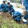 Soldiers’ remains, explosives discovered in Dien Bien