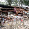 No Vietnamese victims reported in Indonesia tsunami: embassy