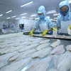Tra fish exports surge to set new record