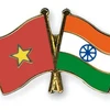 Indian Technical and Economic Cooperation Day held in Hai Phong 