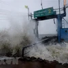 Storm Pabuk wreaks havoc in Thailand