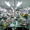 Vietnam to keep outperforming region: Fitch Solutions