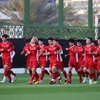 Asian Cup 2019: Vietnam preparing a surprise for Iraq