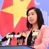 Vietnam requests other countries to respect international law