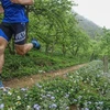 Vietnam Trail Marathon in Moc Chau to draw 1,900 runners 