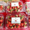 Son La strawberry, farm produce week opens in Hanoi 
