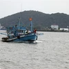 Nearly 55 bln VND for Quang Tri offshore fishing vessels 