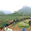 Planning scheme for Moc Chau national tourist site approved
