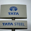 Chinese group buys 70 pct of Tata's Southeast Asian steel projects