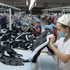 Upbeat signs on Vietnam-Czech Republic trade ties