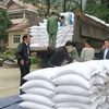 Rice aid reaches over 520,000 impoverished people ahead of Tet