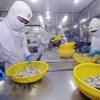 Shrimp export expected to top 4 billion USD in 2019