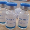 Vietnam-made seasonal influenza vaccines available on market