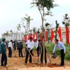 Tree-planting festival greens up localities
