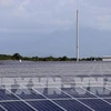 Binh Phuoc: over 12 trillion VND invested in solar power
