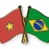 Vietnam strengthens partnership with Brazil
