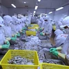 Fisheries sector targets 10 billion USD export value