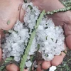 Hailstone, whirlwinds wreak havoc in northern provinces