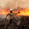 Many forest fire hotspots discovered in Indonesia 