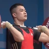 Vietnam bags six golds at world weightlifting event