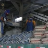 Cement, clinker demand to edge up this year