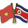 Cultural cooperation contributes to Vietnam-DPRK friendship 