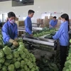 VN shows great potential for processed vegetable, fruit exports