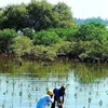 Green Climate Fund helps Quang Nam adapt to climate change