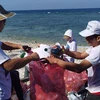Volunteers clean up Ly Son island in Quang Ngai