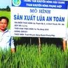  Hau Giang to pilot smart rice cultivation