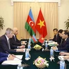 Vietnam, Azerbaijan foreign ministries hold political consultation