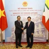 Vietnam-Myanmar relations increasingly substantive: officials