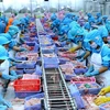 Vietnam world’s fourth biggest seafood exporter 