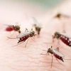 UK-funded dengue forecasting system introduced in Vietnam
