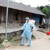 20 localities hit by African swine fever after Lai Chau outbreak