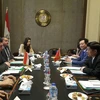 Egypt wants to develop ties with Vietnam