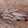 Dozens of leftover war mortar shells found in Quang Tri 