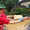 Red Cross Societies of Vietnam, China step up cooperation
