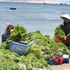 Marine economy makes up 10 percent of Vietnam’s GDP