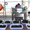 Japan’s organic waste treatment tech introduced in HCM City