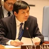 Vietnam joins int’l efforts in preventing financing of terrorists: Ambassador