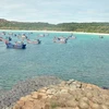 Phu Yen releases breeding shrimp, fish into the sea