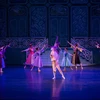 Vietnamese, Japanese artists perform “Cinderella” ballet