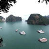 US newspaper names Ha Long Bay among world’s 35 most beautiful natural wonders