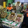 Fruit and veg exports fall 9.3 percent in Q1